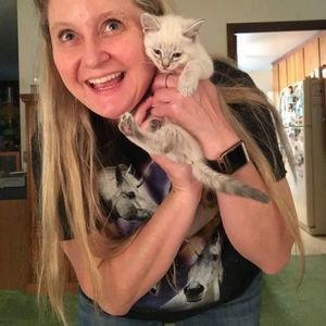 Meet your Posher, Charity